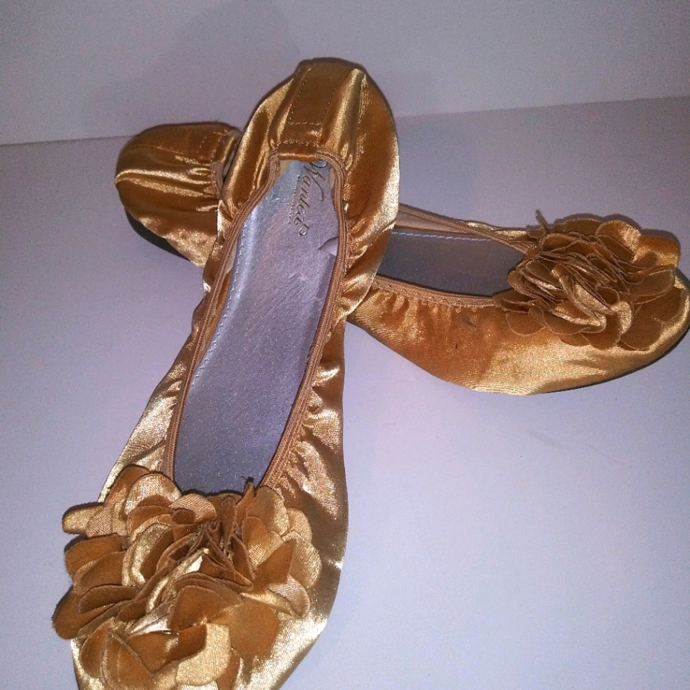 Wanted ballet flat shoes